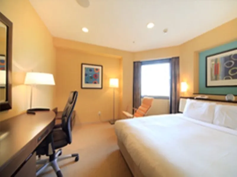 Otel Sotetsu Fresa Inn Kawasaki-Higashiguchi Kawasaki